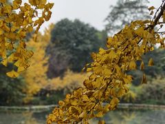 -成都杜甫草堂博物馆