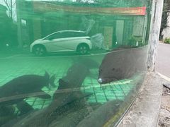 -天怡·鱼工厂(梅溪湖店)