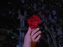 -LAMP BAR 水烟音乐酒吧