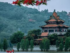 -三水森林公园