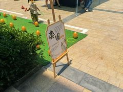 -美盛喜来登大酒店-盛宴标帜餐厅