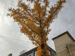 -百林公园-两江幸福广场