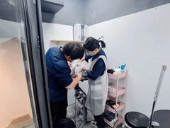 -帕帕拉兹宠物(亚洲旗舰店)