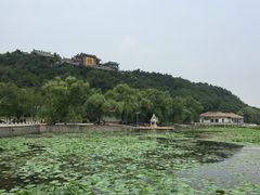 -北山公园