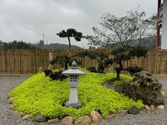 -南宁良凤江国家森林公园