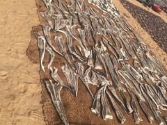 -尼甘布海鲜市场