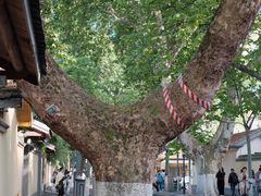 -颐和路民国时期公馆风貌区
