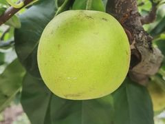 -美家乐农庄·露营·团建(大治路店)