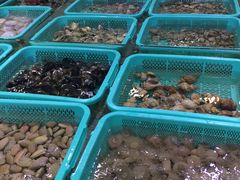 -渔傅·蓝海岸霞浦海鲜(正祥店)
