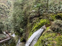 -鹿院坪生态旅游景区
