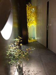-美壹生诊所皮肤管理中心·海菲秀&Legacy美白舱