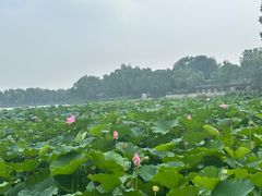 -郭守敬纪念馆