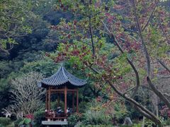 -云溪植物园