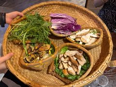 -滇野云南野生菌餐厅(陕西南路店)