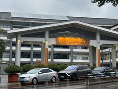 -铁山坪森林公园