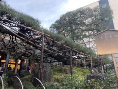 -中村藤吉(本店)