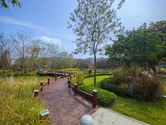 -森波拉奇妙世界