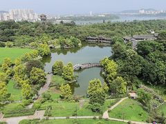 -张坝桂圆林公园