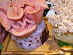 -烹然四季椰子鸡火锅(姚家园万象汇店)