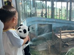 -大连森林动物园