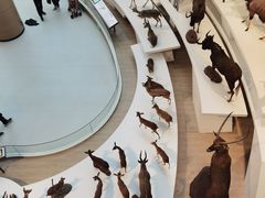 -陕西自然博物馆