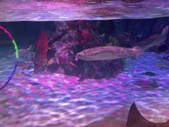 -沈阳海洋探索中心