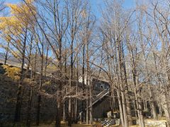 -阳台山自然风景区