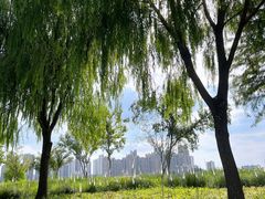 -上海山野camping·户外天幕烧烤·团建拓展营地