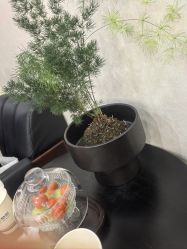 -北京炫美医疗美容