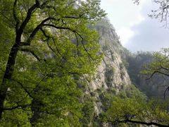 -洛阳白云山景区