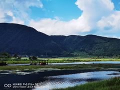 -腾冲北海湿地