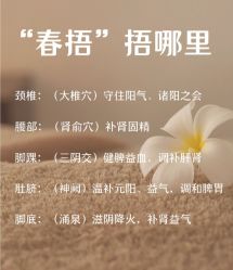 -慈蕊美容养生·专业经络调理