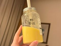 -野萃山·潮汕厚果汁(十亩地店)