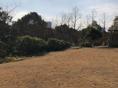 -白塘生态植物园