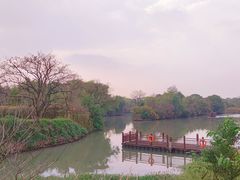 -西溪国家湿地公园