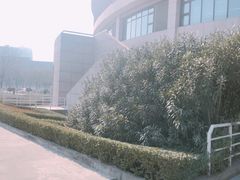 -陕西科技大学福慧图书馆