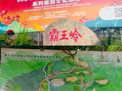 -海南霸王岭国家森林公园