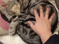 -汉唐驿-唐风美学民宿