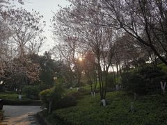 -重庆园博园