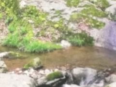 -藏龙百瀑风景区