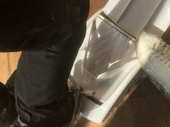 -瞄一喵猫咖(格力海岸店)