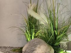 -蜜桃餐厅·伴山(绿宝广场店)