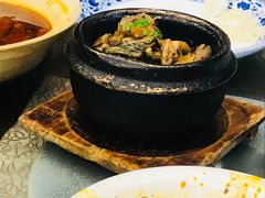 -芙蓉凰花园酒楼