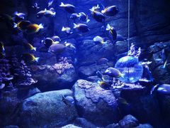 -成都浩海立方海洋公园