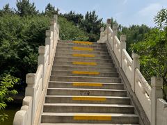 -团结湖公园