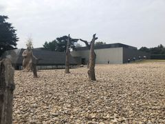 -侵华日军南京大屠杀遇难同胞纪念馆
