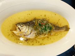 雪菜笋丝蒸生态大黄鱼-麟1929(外滩店)
