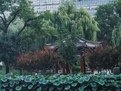 -西海子公园