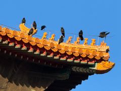 -故宫博物院(故宫)