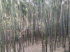 -西安金龙峡风景区